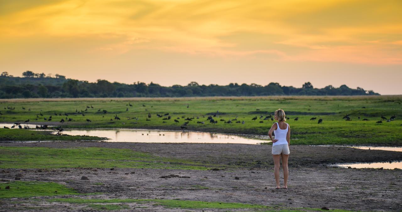 Ngoma Safari Lodge Kavimba Esterno foto