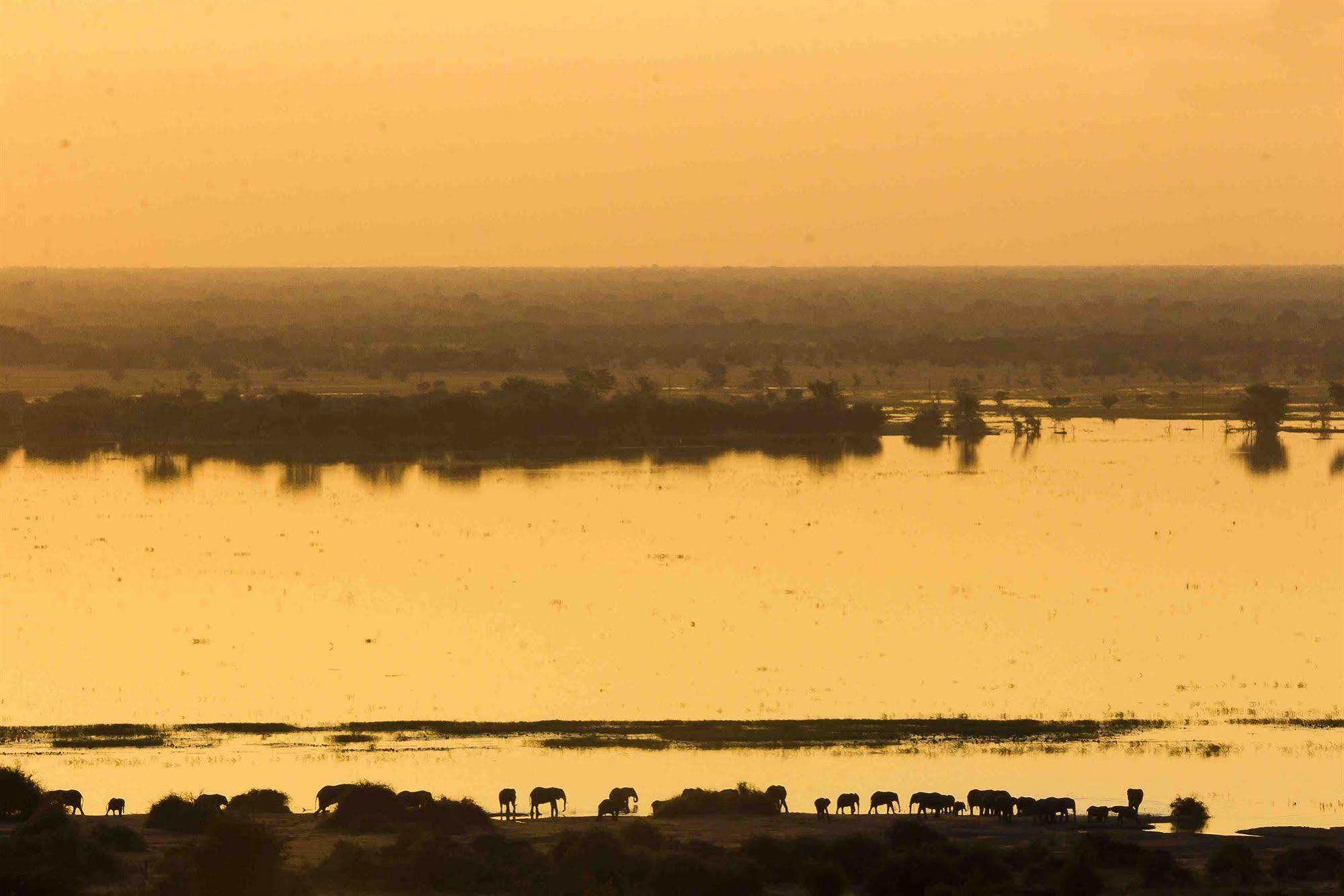 Ngoma Safari Lodge Kavimba Esterno foto