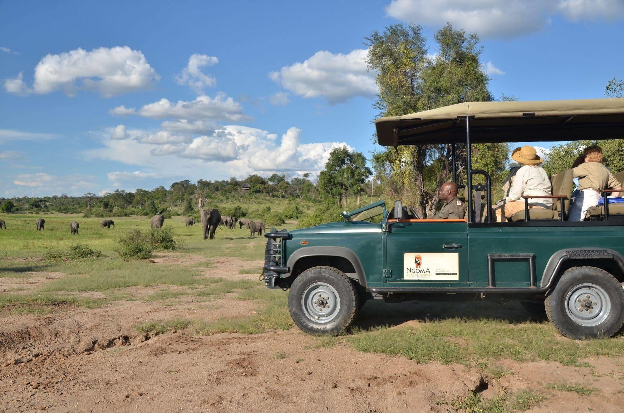 Ngoma Safari Lodge Kavimba Esterno foto
